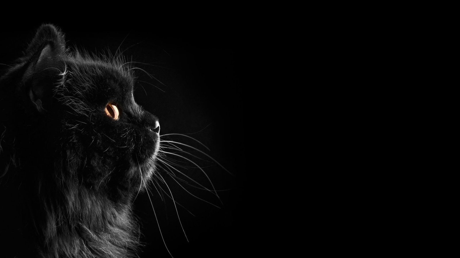 Intense Man